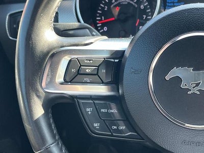 2019 Ford Mustang GT Fastback