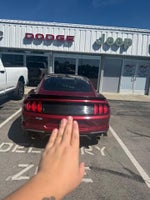 2019 Ford Mustang GT Fastback