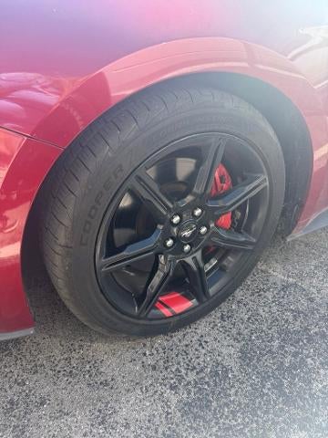 2019 Ford Mustang GT Fastback