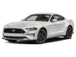 2019 Ford Mustang GT Fastback
