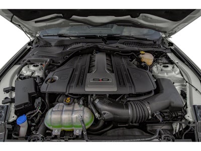 2019 Ford Mustang GT Fastback