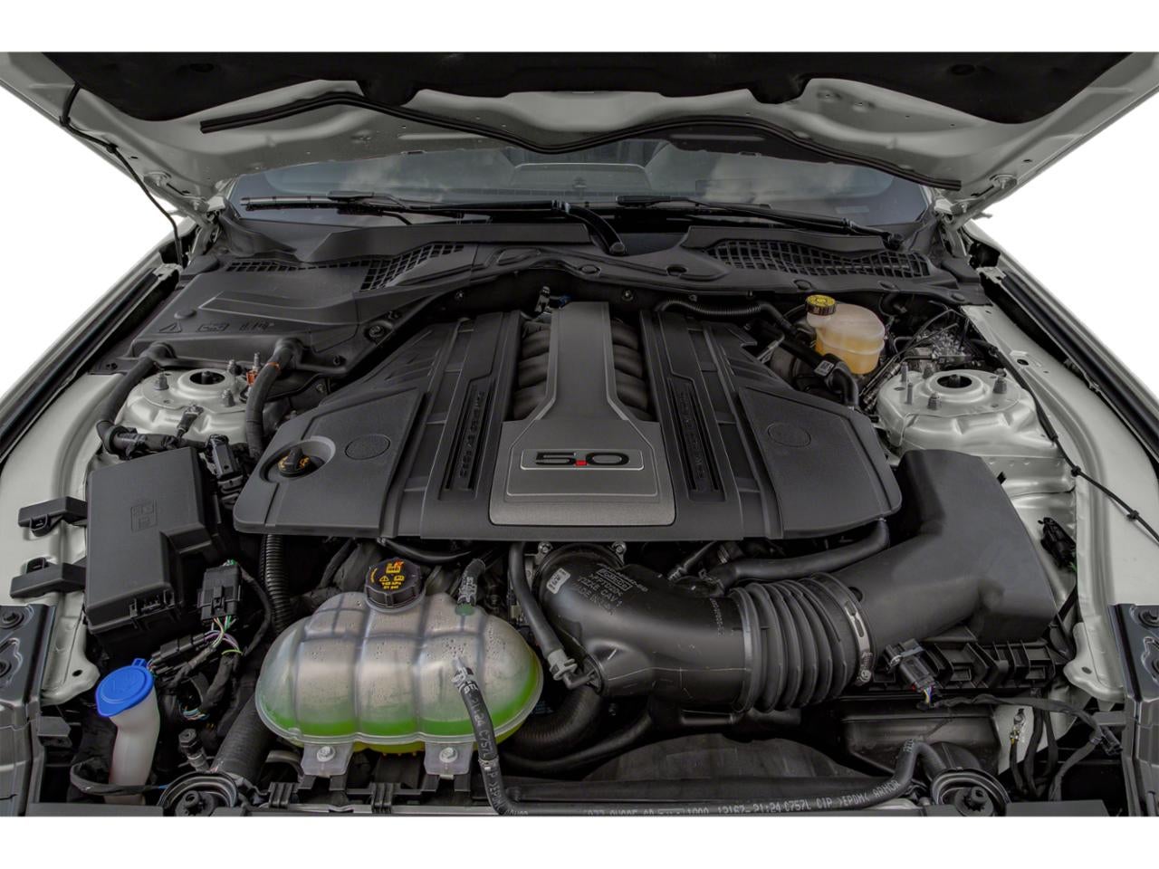 2019 Ford Mustang GT Fastback