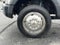 2019 Ford Super Duty F-450 DRW XL 4WD Crew Cab 179" WB 60" CA