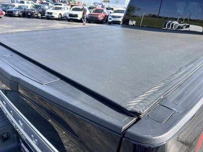 2020 Ford Super Duty F-250 SRW Platinum 4WD Crew Cab 6.75' Box