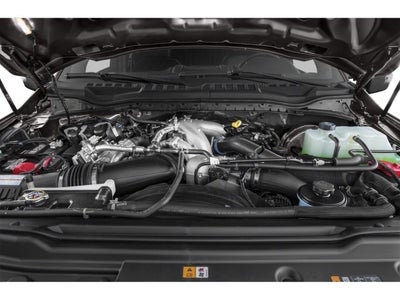 2020 Ford Super Duty F-250 SRW Platinum 4WD Crew Cab 6.75' Box