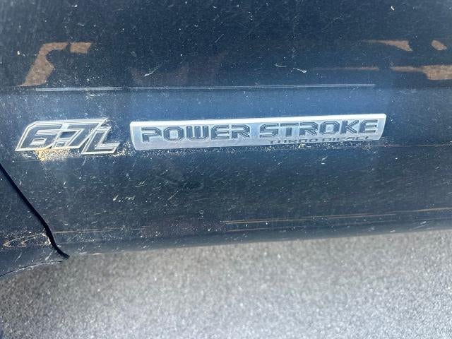 2021 Ford Super Duty F-250 SRW Platinum 4WD Crew Cab 6.75' Box