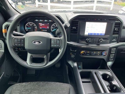 2021 Ford F-150 Tremor 4WD SuperCrew 5.5' Box