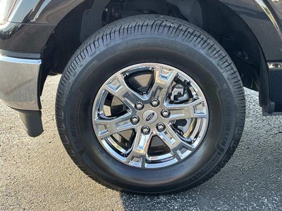 2023 Ford F-150 XLT 4WD SuperCrew 5.5' Box