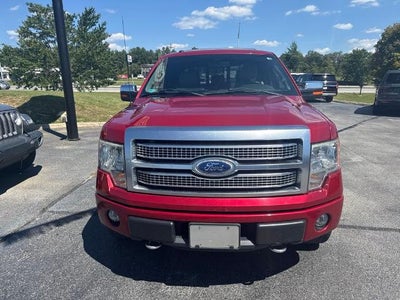 2011 Ford F-150 4WD SuperCrew 5-1/2 Ft Box Platinum