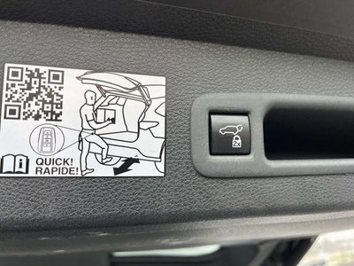 2023 Toyota Sienna XLE FWD 8-Passenger (Natl)